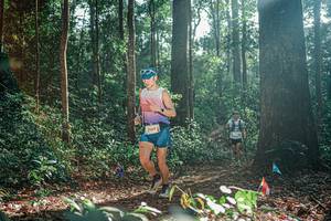 BIB: 
                            <button type="button" onclick="openModal(26074369)" class="btn btn-primary btn-sm float-right btn-popup" data-toggle="modal" data-target=".modal-high-quality">
                        <i class="fas fa-shopping-cart"></i> Add to Cart
                    </button>
                                            <button type="button" onclick="isThisMe(26074369, true)" class="btn btn-success btn-sm float-right btn-popup btn-isme hidden" data-toggle="tooltip" data-placement="bottom" title="นี่คือรูปของคุณใช่ไหม คลิกที่นี่เพื่อเอาเข้าอัลบั้ม">
                        <i class="fas fa-plus"></i> Add to album
                    </button>
                    <button type="button" onclick="isThisMe(26074369, false)" class="btn btn-warning btn-sm float-right btn-popup btn-isnotme hidden">
                        <i class="fas fa-ban"></i> Remove from album
                    </button>